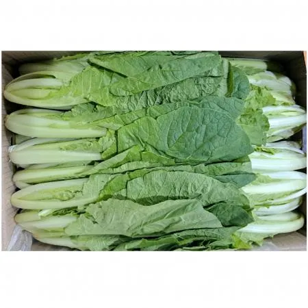 얼갈이 (국내산)4kg/BOX 얼갈