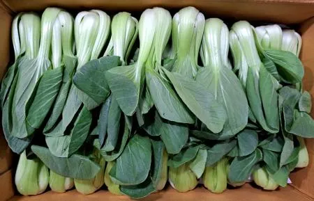 청경채(상) 4kg/BOX