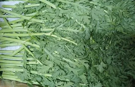 쑥갓(국내산)4kg/BOX