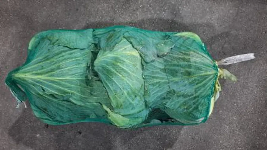 양배추 특 (45망) 안깐양배추 (망) 국내산 이미지
