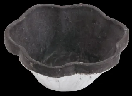 냉동 플라워 꽃모양 먹물 타르트쉘 30g x 24ea 이미지