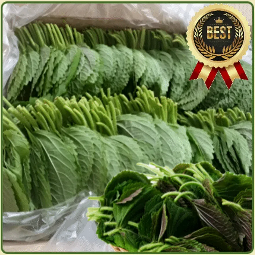★입점 특가★ 깻잎 (찹찹이 깻잎 / 국내산) 2kg box 이미지