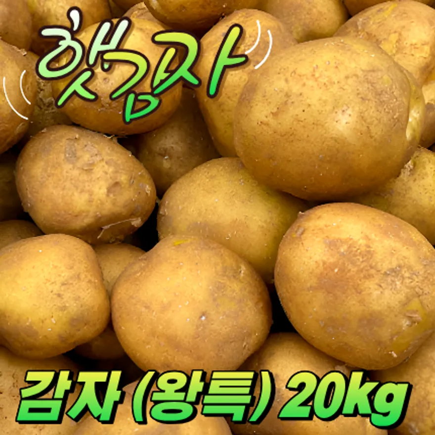 ★입점 특가★ 햇 감자 (왕특 / 국내산) 20kg box 이미지