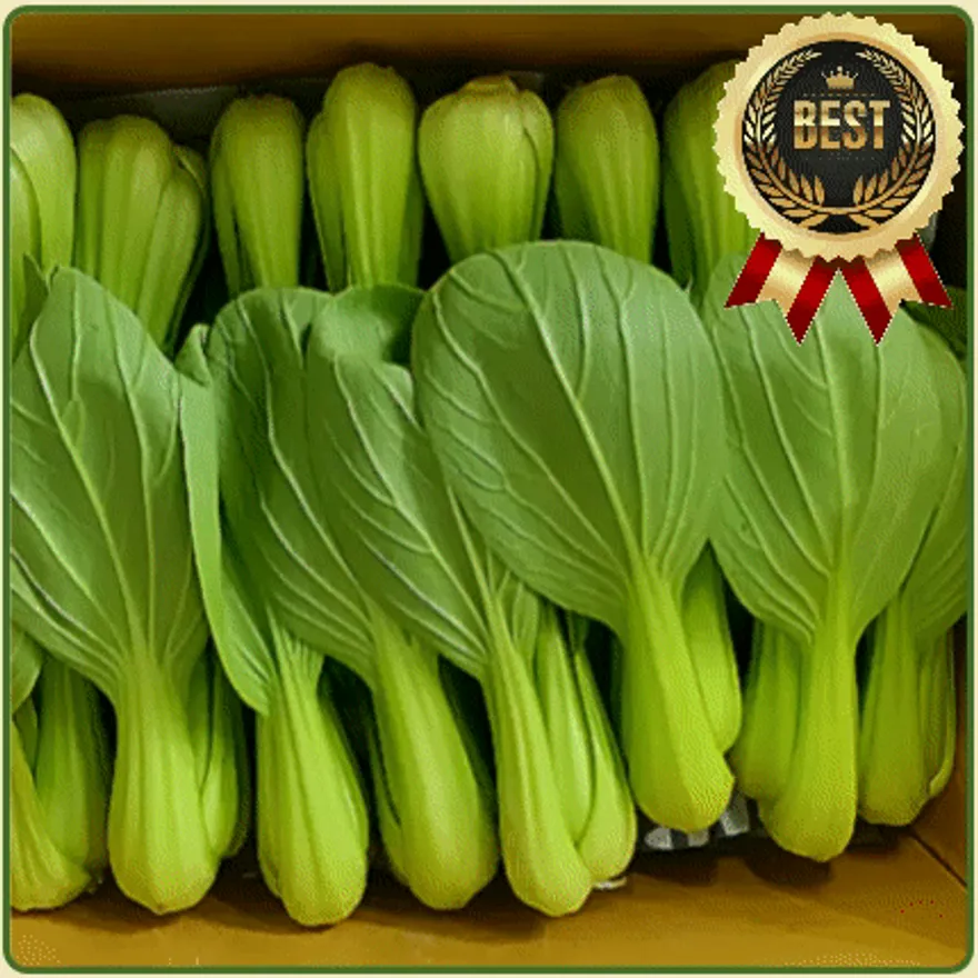 ★입점 특가★ 청경채 (특 / 국내산) 4kg box 이미지