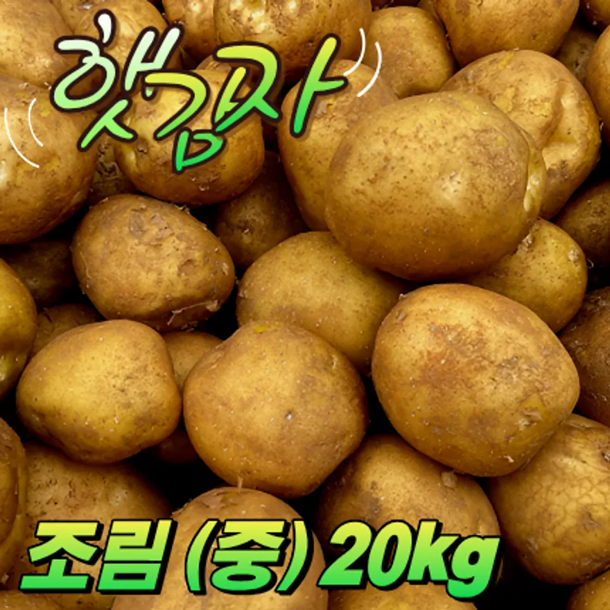 ★입점 특가★ 햇 감자 (조림 / 중 / 70-80g 이하 / 국내산) 20kg box 이미지