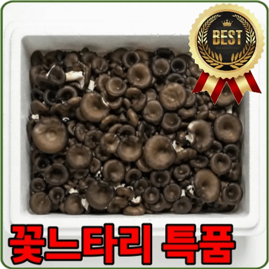 ★입점 특가★ 느타리 (특 / 꽃느타리 / 국내산) 2kg box 이미지