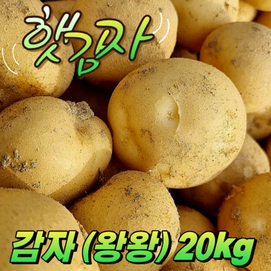 ★입점 특가★ 햇 감자 (왕왕 / 국내산) 20kg box 이미지