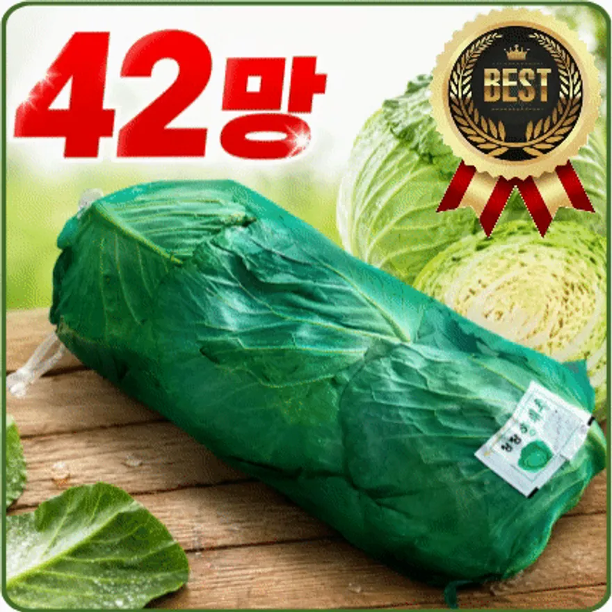★입점 특가★ 양배추 (3입 / 42망 / 대 / 국내산) 1망 이미지