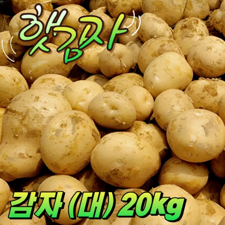 ★입점 특가★ 햇 감자 (대 / 국내산) 20kg box 이미지