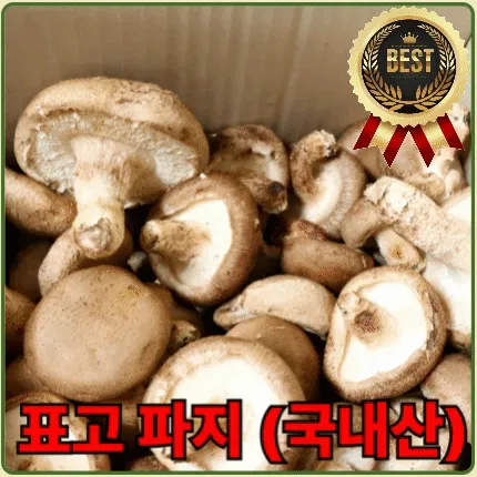 ★입점 특가★ 표고버섯 (파지 / 육수용 / 국내산) 1kg