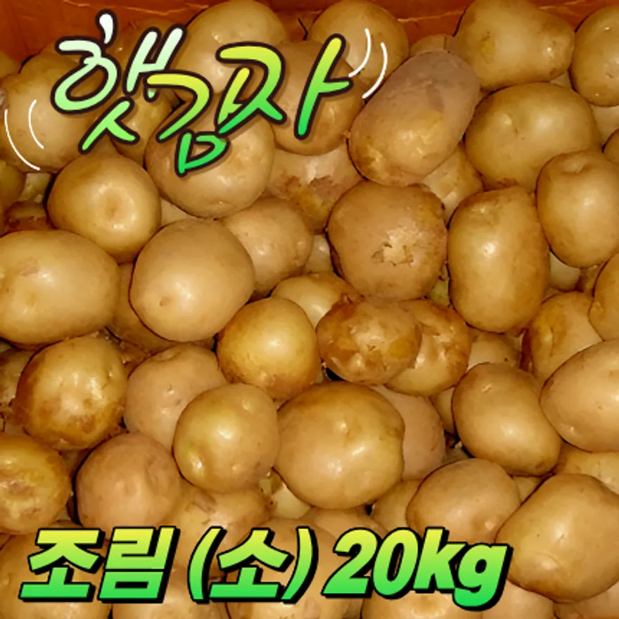 ★입점 특가★ 햇 감자 (조림 / 완쫄 / 30-40g 이하 / 국내산) 20kg box 이미지