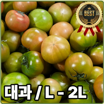 ★입점 특가★ 대저 토마토 (대과 / L - 2L) 2.5kg 