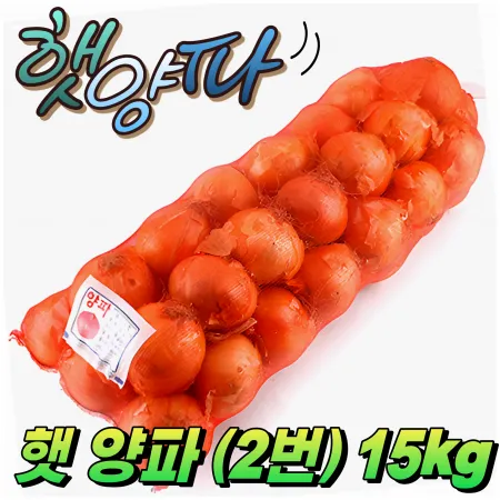 ★입점 특가★ 햇 양파 (2번구 / 특A급 / 5-6줄 / 국내산) 15kg