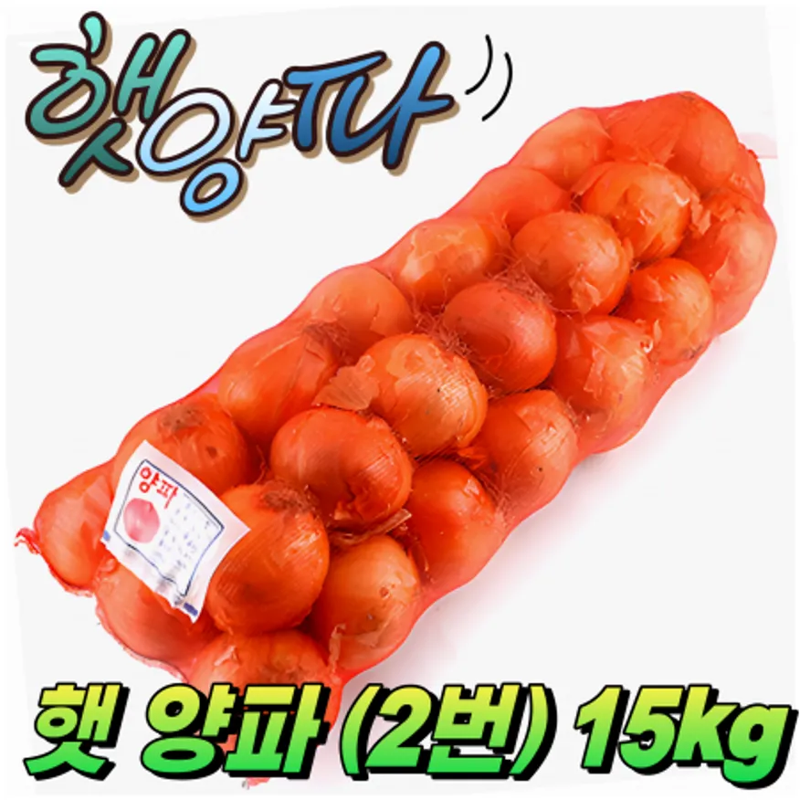★입점 특가★ 햇 양파 (2번구 / 특A급 / 5-6줄 / 국내산) 15kg 이미지