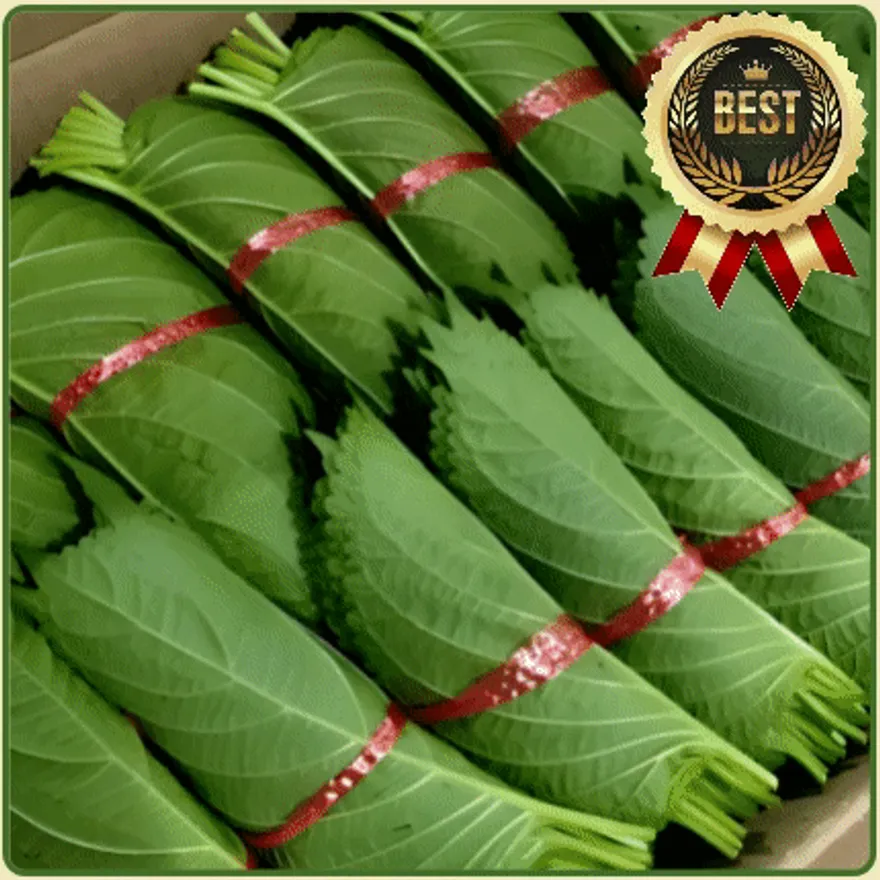 ★입점 특가★ 깻잎 (단 깻잎 / 특 / 국내산) 2kg box 이미지