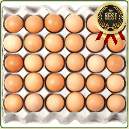 ★알뜰 특가★ 계란 (대란 / 30알 / 국내산) 1판