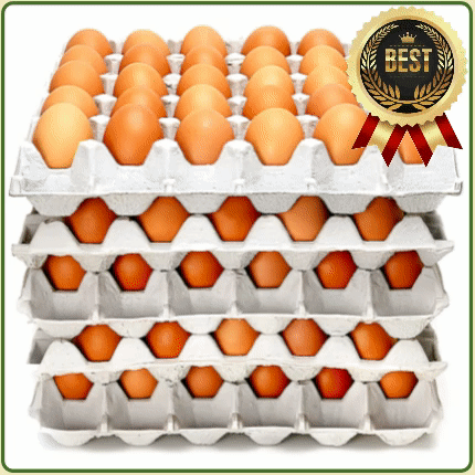 ★알뜰 특가★ 계란 (특란 / 30알 / 국내산) 5판/묶음