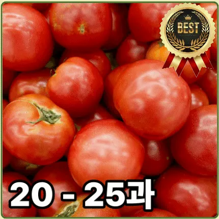 ★과일 특가★ 토마토 (완숙 / 3번 / 20-25과) 5kg