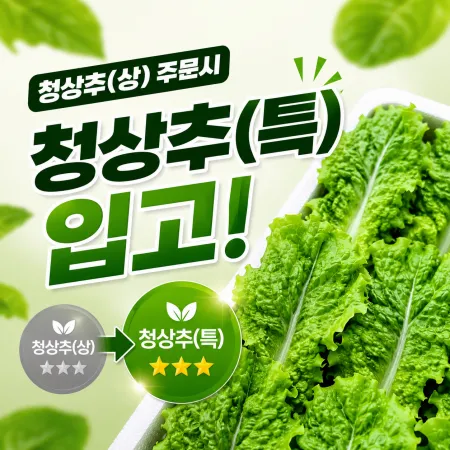 ★입점 특가★ 청상추 (상 / 국내산) 4kg box