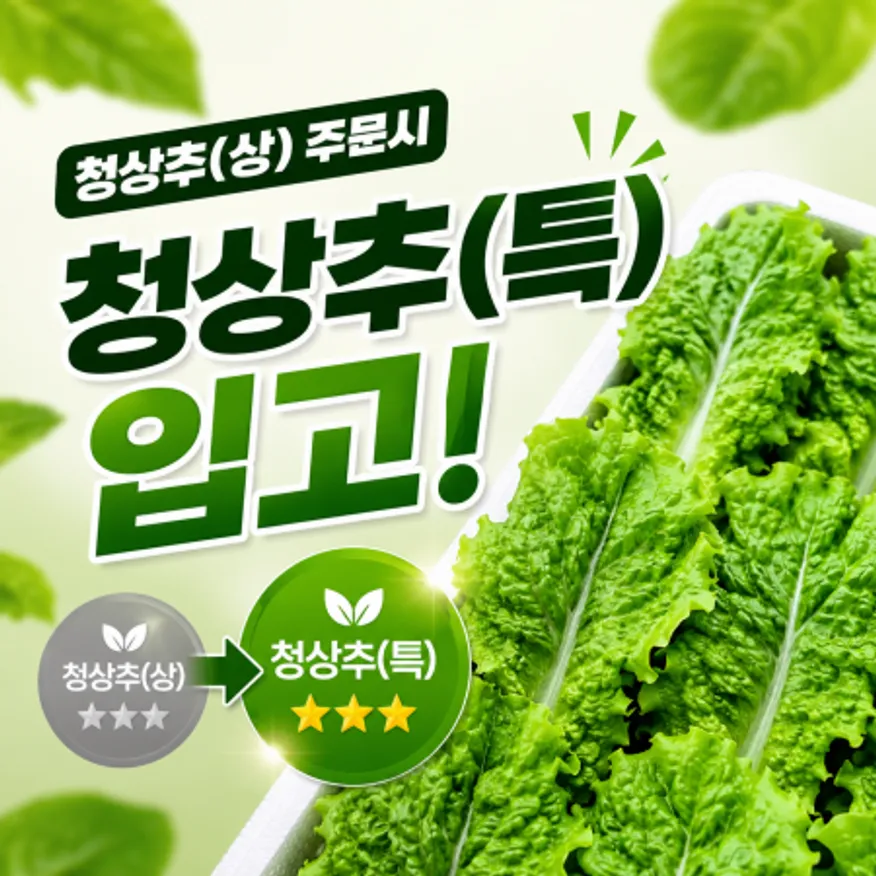 ★입점 특가★ 청상추 (상 / 국내산) 4kg box 이미지