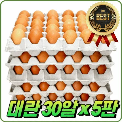 ★알뜰 특가★ 계란 (대란 / 30알 / 국내산) 5판/묶음