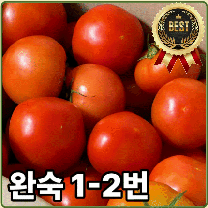 ★입점 특가★ 토마토 (완숙 / 1-2번 / 15-20과) 5kg