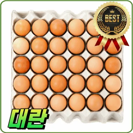★알뜰 특가★ 계란 (대란 / 30알 / 국내산) 1판