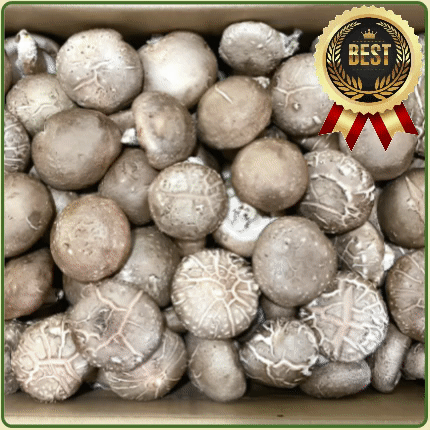 ★입점 특가★ 표고버섯 (중국산) 4kg box