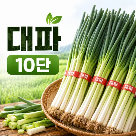 ★입점 특가★ 흙 대파 (국내산) 10단