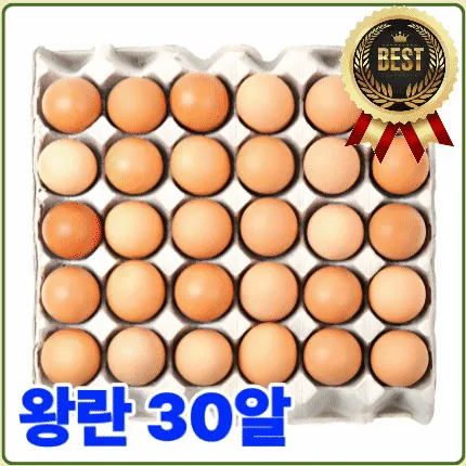 ★계란 핫★ 계란 (왕란 / 30알 / 국내산) 1판