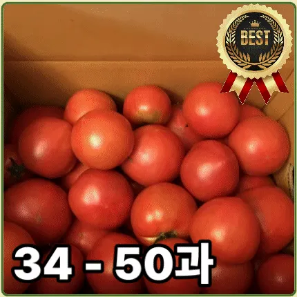 ★과일 특가★ 토마토 (완숙 / 4번 / 34-50과) 5kg