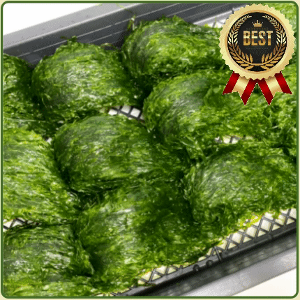 ★입점 특가★ 물파래 (1판 / 완도산 / 국내산) 2kg