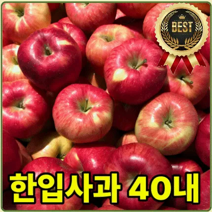 ★과일 특가★ 부사 사과 (25년 / 햇사과 / 한입사과 40내) 10kg