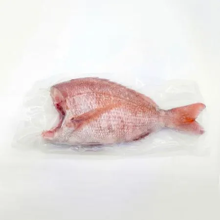 국내산 냉동 두절 참돔 250~300g