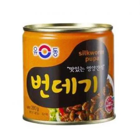 유동 번데기 280g