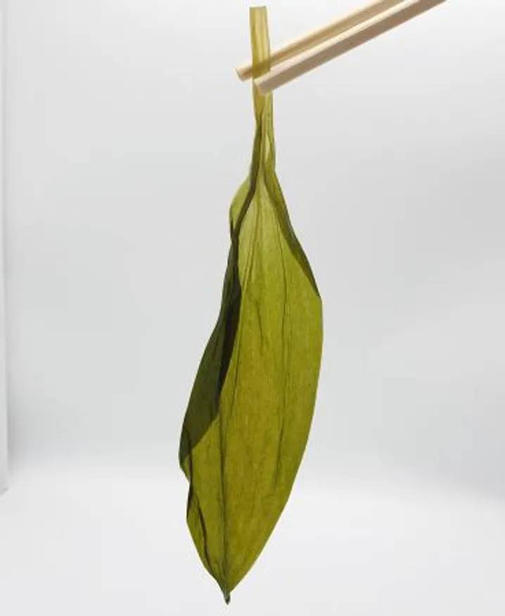 해드림명이나물(진미찬)10kg(1통)/택배비무료 이미지