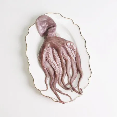 업소용 손질 세척 문어 8kg (500/700g) 냉동 대용량 통문어 숙회 타코야끼 문어다리 이미지