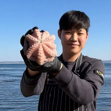 냉동 문어 8kg (18-26미) 손질 세척 통문어 모리타니아산 300/500g