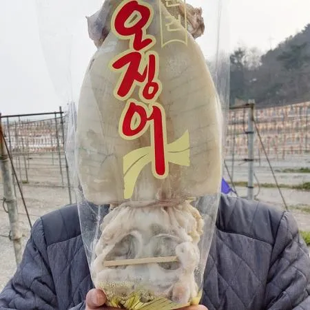 [국내생산] 반건조오징어 피데기 10미 2.0~2.1kg내외