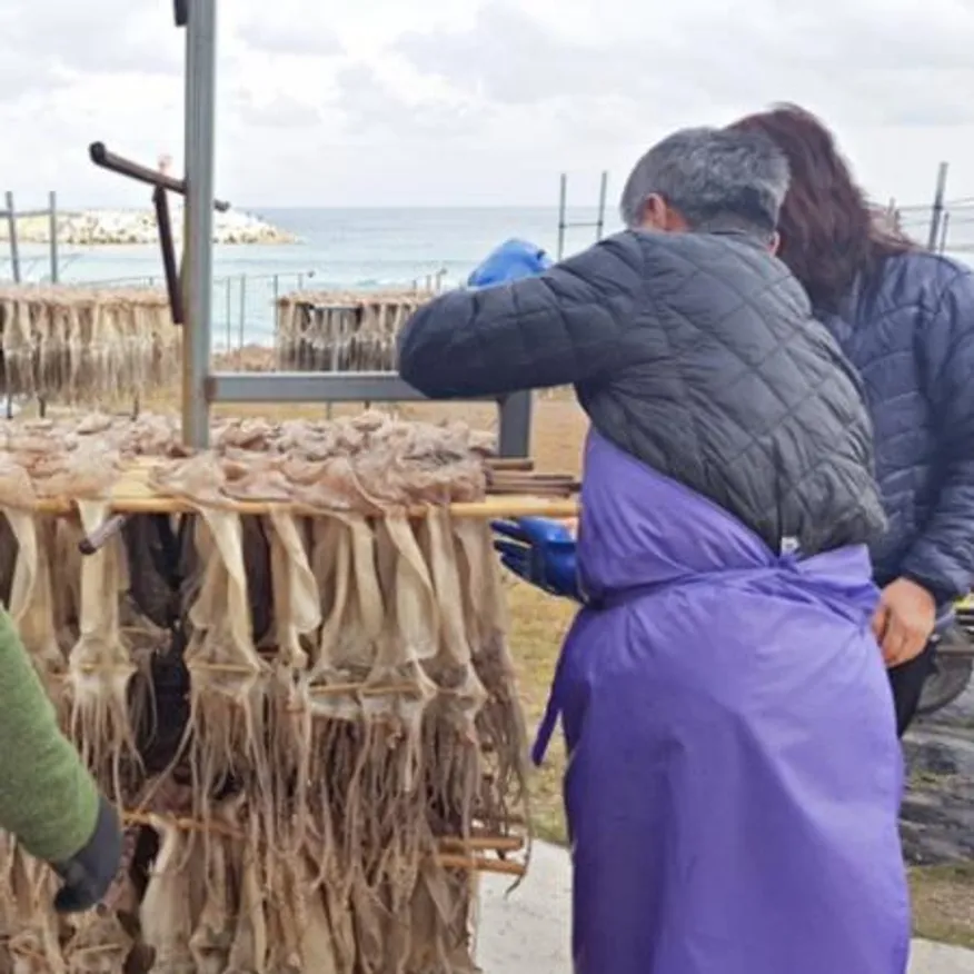 국내가공 건조 마른 오징어 원양산 건오징어 20마리 (1축 1.8kg 내외) 이미지