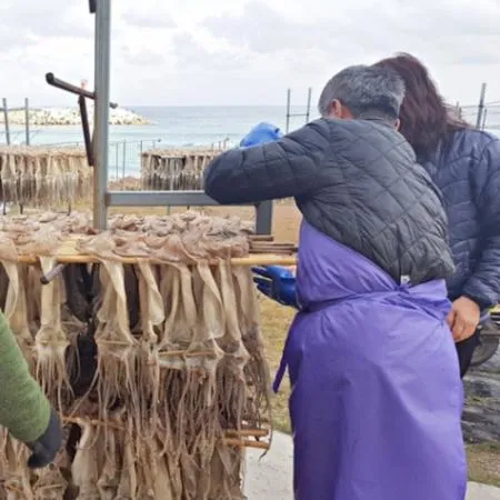 국내가공 건조 마른 오징어 원양산 건오징어 20마리 (1축 1.8kg 내외) 이미지