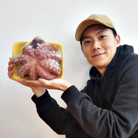 국내산 냉동 자숙문어 1.8kg내외 통문어 문어다리 숙회 제수용 돌문어