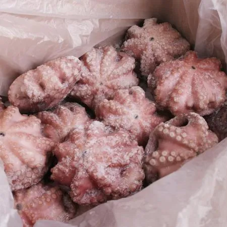 문어 8kg (25-40미) 200/300g 냉동 업소용 통문어
