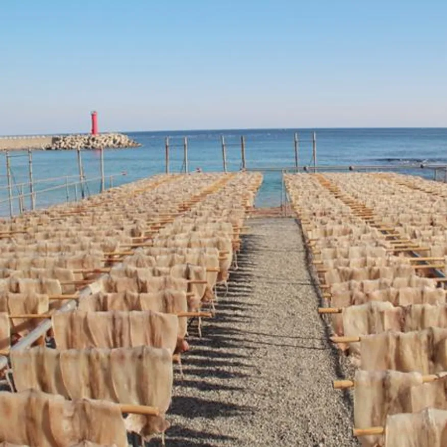 국내가공 건조 마른 오징어 원양산 건오징어 20마리 (1축 1.8kg 내외) 이미지