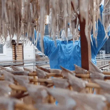 마른오징어 20마리 원양 건오징어 국내가공 (900g 내외) 이미지