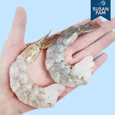 칵테일새우 31/40 페루산 냉동 탈각 새우 이미지