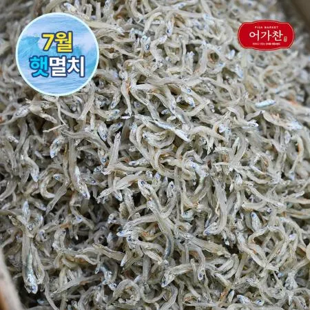 [어가찬] 국내산 지리 멸치 1.5kg (볶음용) / 세멸 세세멸 잔멸치 멸치볶음 원물박스 이미지