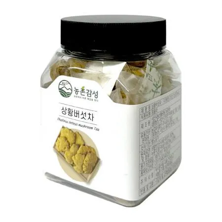 하진이네 상황버섯차