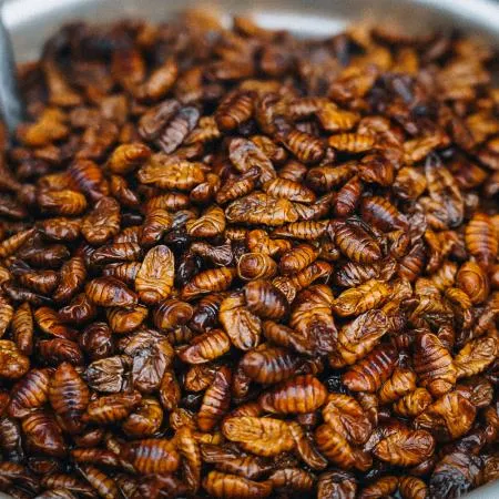 냉동 번데기 4kg 대용량 식당 업소용 술안주 간식