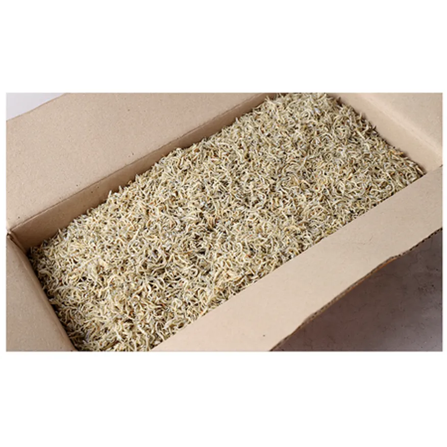 국내산 원물박스 지리멸치 1.5kg 이미지
